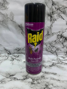 RAID MULTI-PURPOSE INSECT KILLER 500ML
