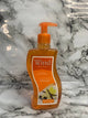 Wind hand wash 500ml (vanilla boost)